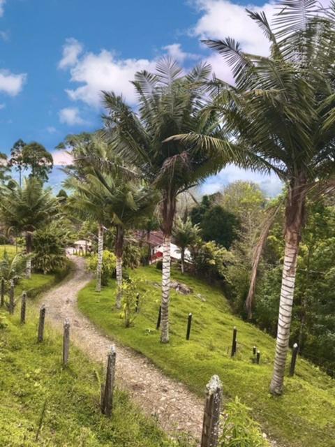 Ecofinca ซาเลนโต ภายนอก รูปภาพ