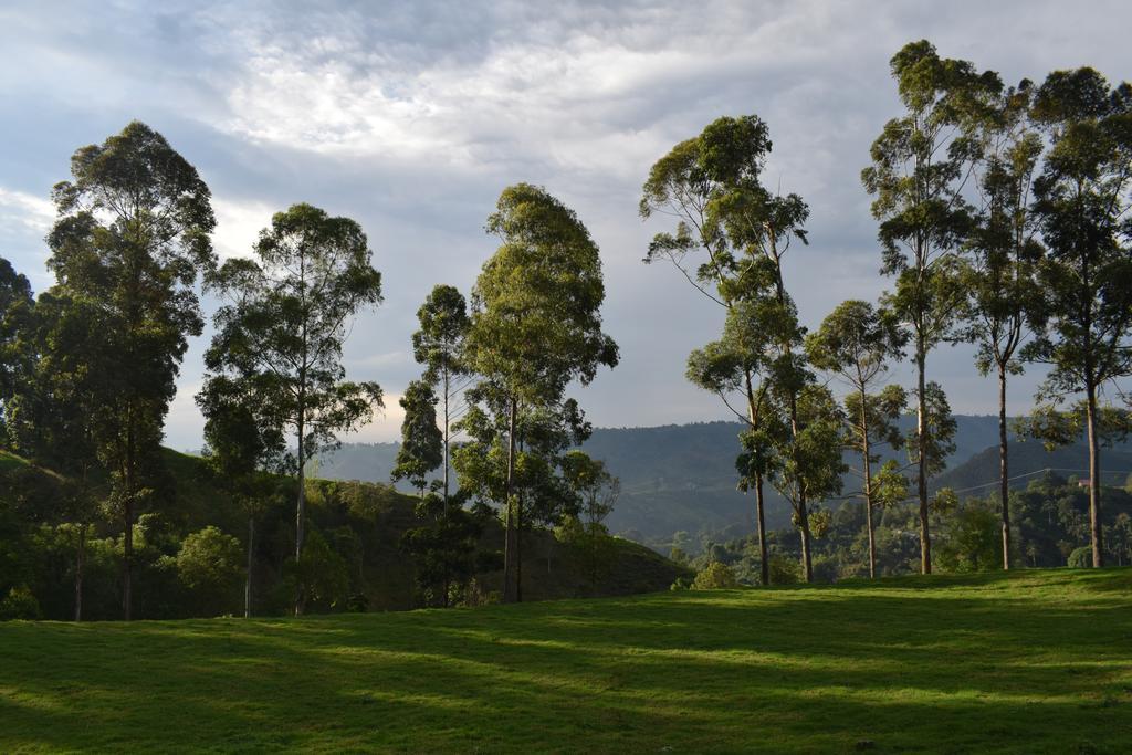 Ecofinca ซาเลนโต ภายนอก รูปภาพ