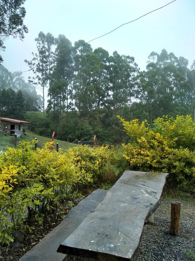 Ecofinca ซาเลนโต ภายนอก รูปภาพ